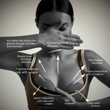 Naturaful Bust Bundle